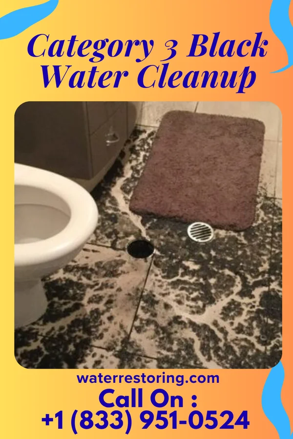 Category 3 Black Water Cleanup in Greenport West, NY