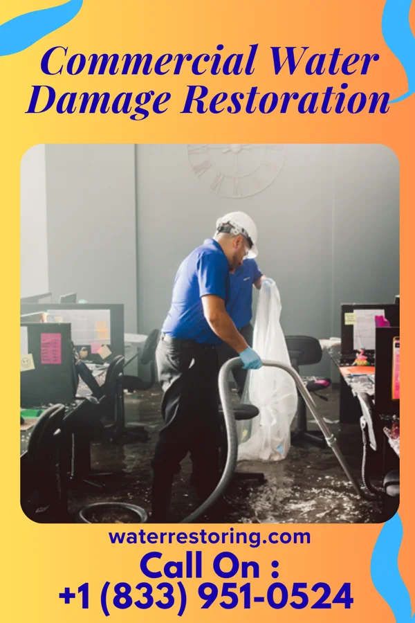 Commercial Water Damage Restoration in Greenport West, NY