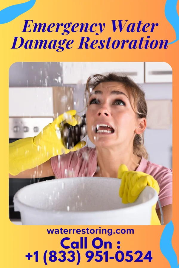 Emergency Water Damage Restoration in Greenport West, NY